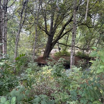 Johnson Creek Park - Park within a park. Next to the river - Parks Near Me - Portland, Oregon
