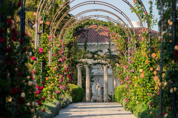 The Huntington Library, Art Museum, and Botanical Gardens by null
