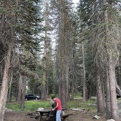 Pine Marten Campground - Site 32A