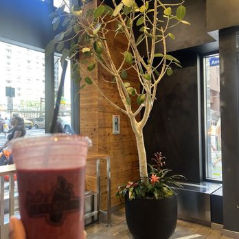 Juice Generation - Juice Bars & Smoothies Near Me - New York, New York Juice Generation - Juice Bars & Smoothies Near Me - New York, New York