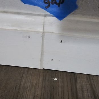 Express Flooring - A white baseboard with visible screw holes is installed against a wall, with a wooden floor beneath and a small piece of debris on the floor. - Flooring Near Me - Rio Rancho, New Mexico