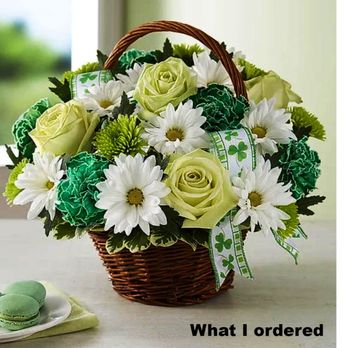 The Bloomin' Dragonfly - What I ordered and was expecting to receive - Florists Near Me - Saint Augustine, Florida The Bloomin' Dragonfly - What I ordered and was expecting to receive - Florists Near Me - Saint Augustine, Florida