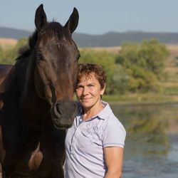 Asha Wolf Healing