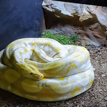 Wildlife Learning Center - Zoos Near Me - Sylmar, California Wildlife Learning Center - Zoos Near Me - Sylmar, California