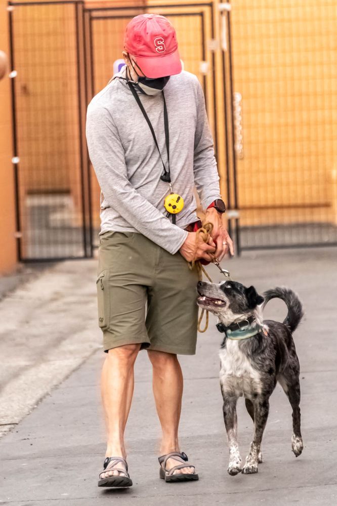 A Happy Pet Tail - pet boarding facility in Gilroy, CA
