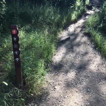 Sunol Regional Wilderness Area - Follow this (Indian Joe Creek and Canyon View Trail) - Parks Near Me - Sunol, California Sunol Regional Wilderness Area - Follow this (Indian Joe Creek and Canyon View Trail) - Parks Near Me - Sunol, California