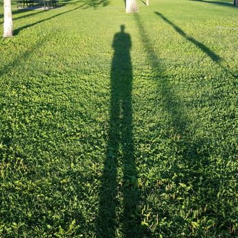 Robinson Park - Walking with my shadow this morning - Parks Near Me - Albuquerque, New Mexico
