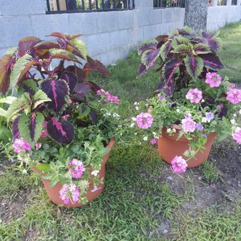 Sofia's Flower in Mendon - Florists Near Me - Mendon, Massachusetts