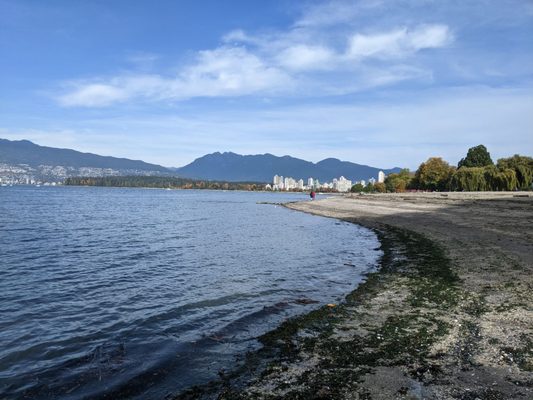 Kitsilano Beach Park by null
