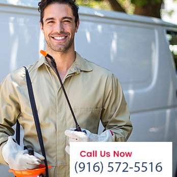 Sacramento Pest - Call now for pest service - Pest Control Near Me - Sacramento, California Sacramento Pest - Call now for pest service - Pest Control Near Me - Sacramento, California