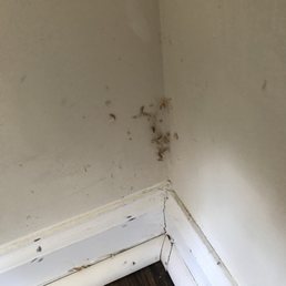 cob webs and dirt