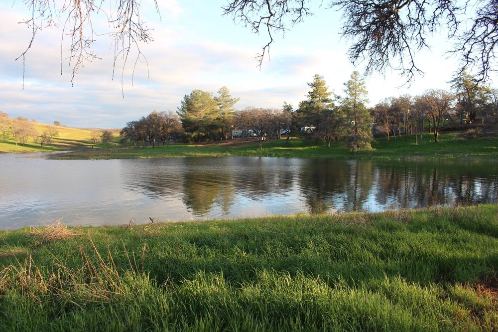 FOOTHILL STORAGE Updated August 2024 2340 La Grange Rd, La Grange