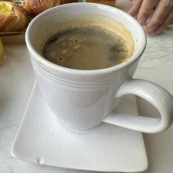 Tulip Cafe - Cafes Near Me - Jacksonville, Alabama Tulip Cafe - Cafes Near Me - Jacksonville, Alabama