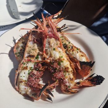 Fishing With Dynamite - Spot prawns - Seafood Near Me - Manhattan Beach, California Fishing With Dynamite - Spot prawns - Seafood Near Me - Manhattan Beach, California