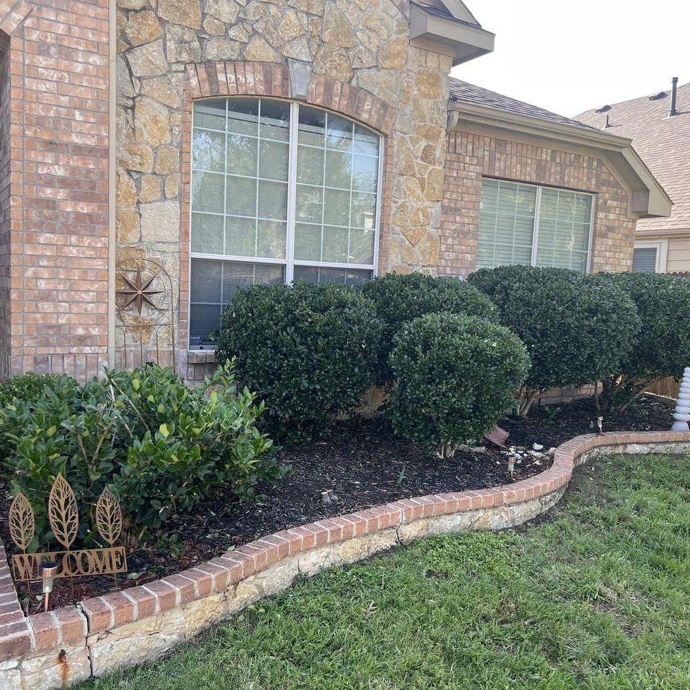 Budget Tree Trimming Services - After services - Tree Services Near Me Budget Tree Trimming Services - After services - Tree Services Near Me