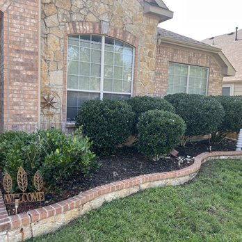 Budget Tree Trimming Services - After services - Tree Services Near Me