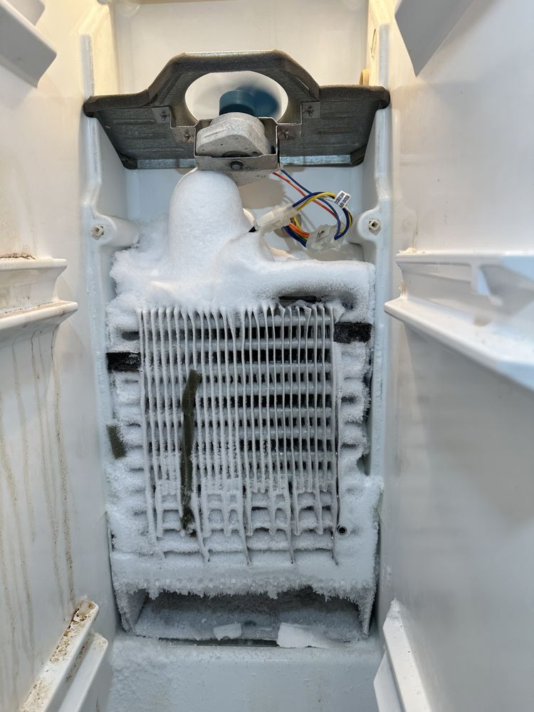 ELEMENTAL APPLIANCE REPAIR Updated May 2024 13 Photos Charleston, South Carolina