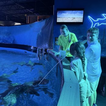 Branson Wild World - Aquariums Near Me - Branson, Missouri