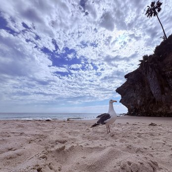 Thousand Steps Beach - Thousands steps beach - Beaches Near Me - Laguna Beach, California Thousand Steps Beach - Thousands steps beach - Beaches Near Me - Laguna Beach, California