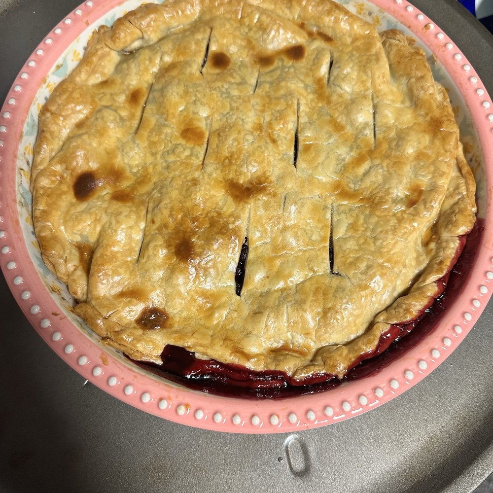 Pearson’s Bees and Berries - Blueberry pie - Honey Near Me - Renton, Washington Pearson’s Bees and Berries - Blueberry pie - Honey Near Me - Renton, Washington