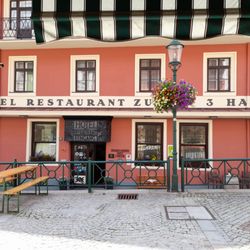 Hotel Drei Hasen