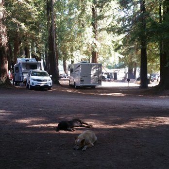 Redwood Resort - Looking toward meadow. - Campgrounds Near Me - Boulder Creek, California Redwood Resort - Looking toward meadow. - Campgrounds Near Me - Boulder Creek, California