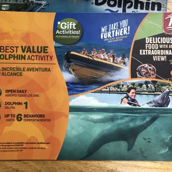 Dolphin Discovery - Aquariums Near Me - Cabo San Lucas, BCS
