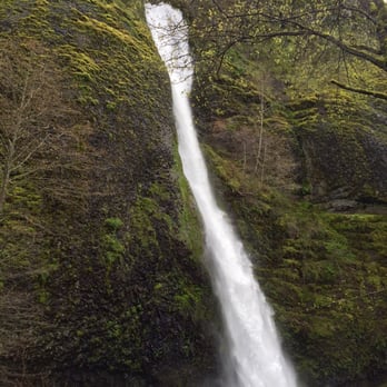 Horsetail Falls - Horsetail Falls in Spring - Hiking Near Me - Cascade Locks, Oregon Horsetail Falls - Horsetail Falls in Spring - Hiking Near Me - Cascade Locks, Oregon