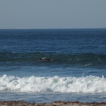 Jalama Beach County Park - Campgrounds Near Me - Lompoc, California