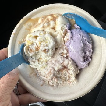 Wild Scoops - 4 flavor flight - Ice Cream & Frozen Yogurt Near Me - Anchorage, Alaska Wild Scoops - 4 flavor flight - Ice Cream & Frozen Yogurt Near Me - Anchorage, Alaska