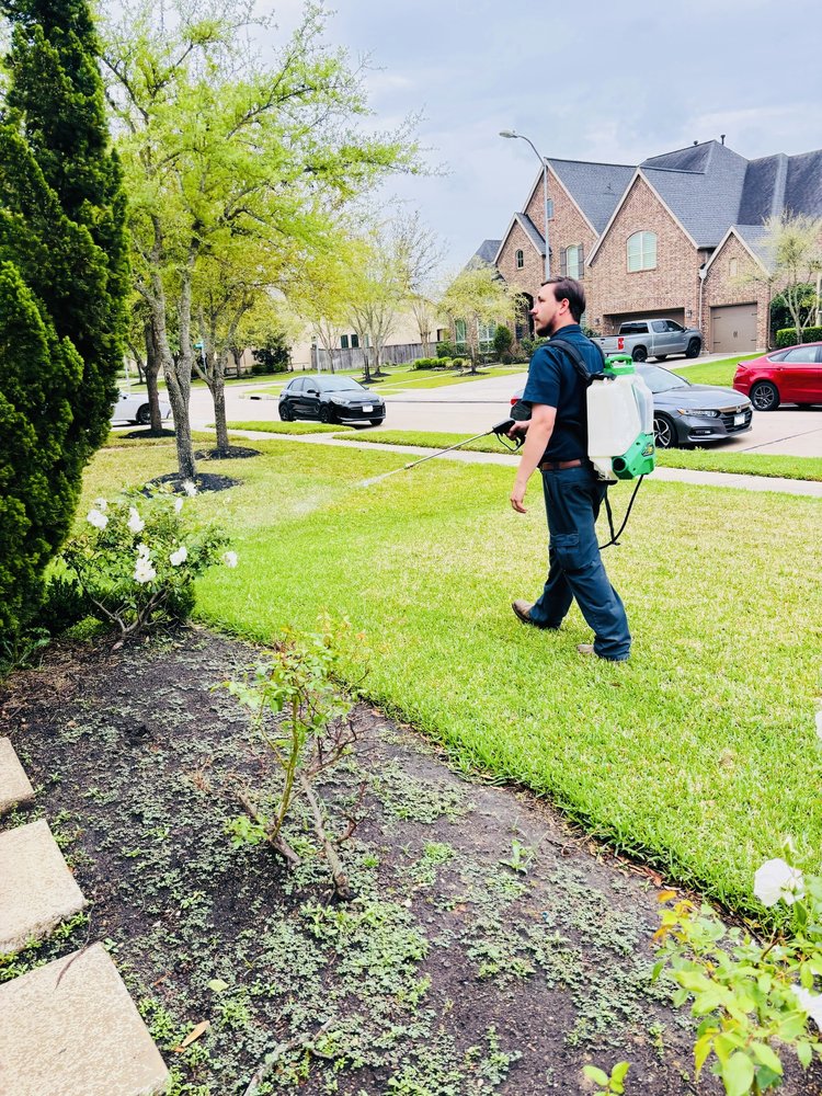 Pest Service Katy