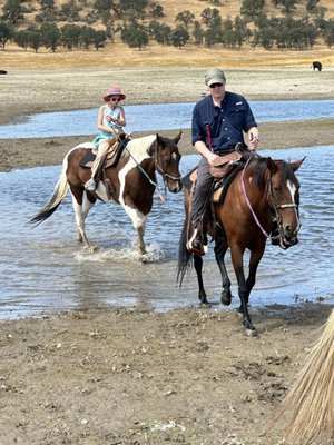 4 Horse Ranch by null