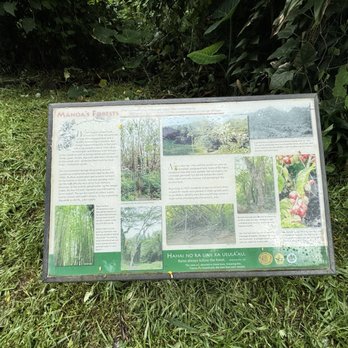 Mānoa Falls Trail - Hiking Near Me - Honolulu, Hawaii