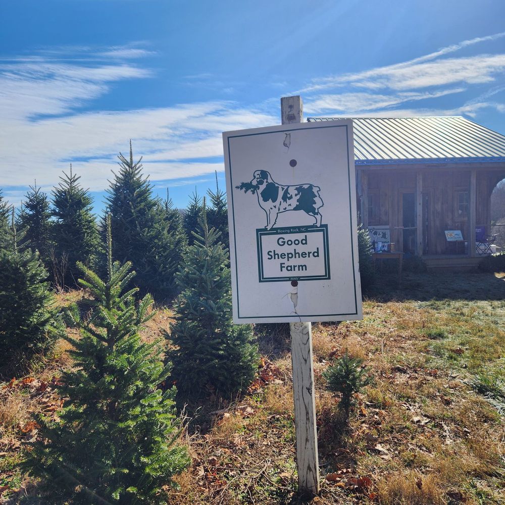 Good Shepherd Trees - Christmas Trees Near Me - Boone, North Carolina