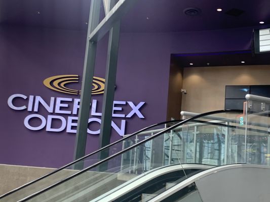 Cineplex Odeon International Village Cinemas by null