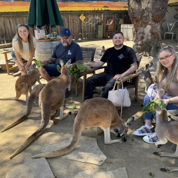 Conservation Ambassadors - Zoo to You - Zoos Near Me - Paso Robles, California Conservation Ambassadors - Zoo to You - Zoos Near Me - Paso Robles, California