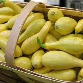Toombs County Farmers Market - Yellow Crook Neck Squash - Farmers Market Near Me - Lyons, Georgia