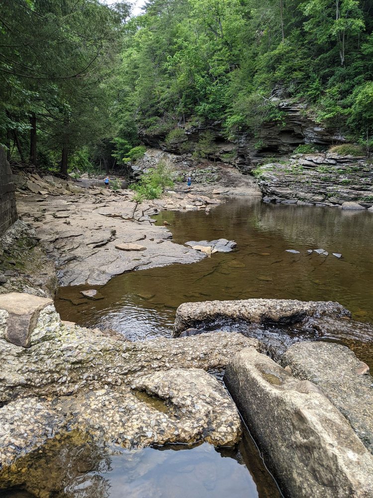 George Hole - Fall Creek Falls Logo