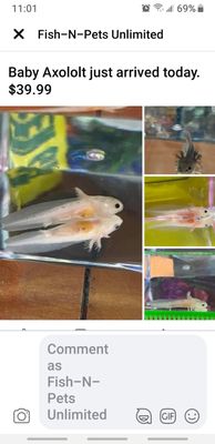 fish and pets unlimited