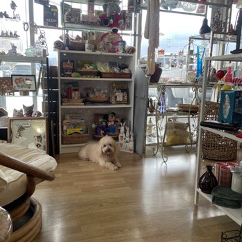 Union Antiques - Store MASCOT - Used, Vintage & Consignment Near Me - San Jose, California Union Antiques - Store MASCOT - Used, Vintage & Consignment Near Me - San Jose, California