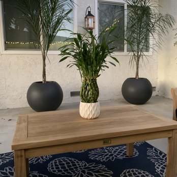IKsun Teak - Table - Furniture Stores Near Me - Austin, Texas