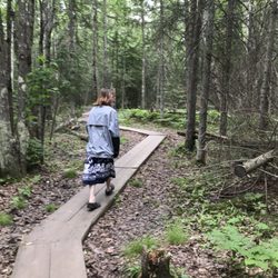 Houghton Falls Hiking Trail - Trail in from parking lot