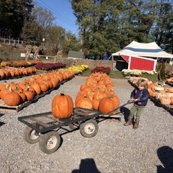 Paulus Farm Market
