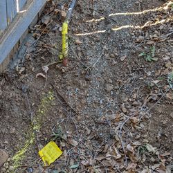Xcel Energy - The line that is supposed to be removed and buried