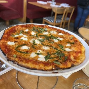 Rose's Cafe - Margarita pizza - Italian Near Me - San Francisco, California Rose's Cafe - Margarita pizza - Italian Near Me - San Francisco, California