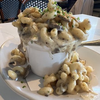 Willi's Wine Bar - Exotic Mushrooms Mac and Cheese - Wine Bars Near Me - Santa Rosa, California