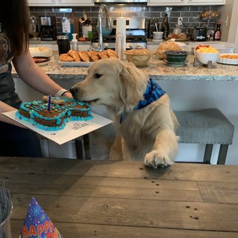 Biscotti Hound Dog Biscuit Bakery - Pet Stores Near Me - Denver, Colorado