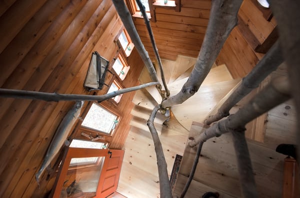 Moose Meadow Lodge & Treehouse by null