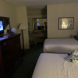 2 Queen Beds and pet friendly room 2 Queen Beds and pet friendly room