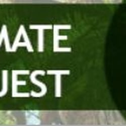 Expert Tree Service